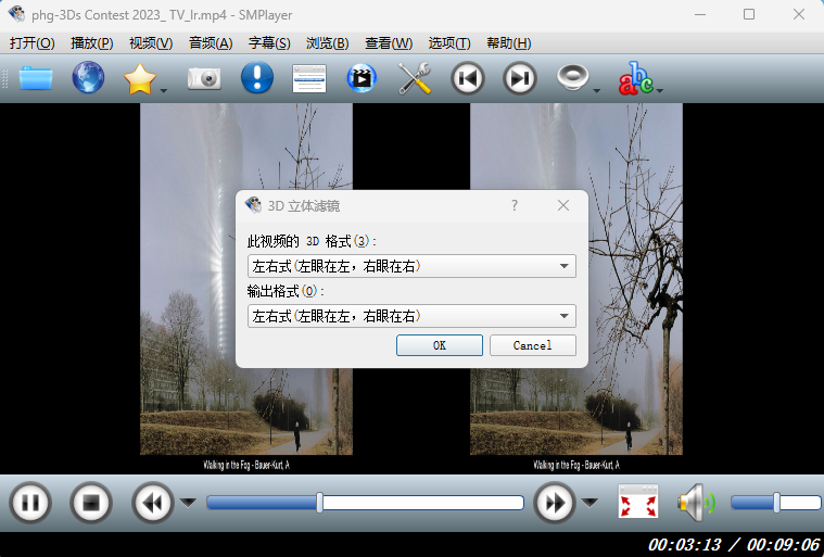 smplayer - 主图
