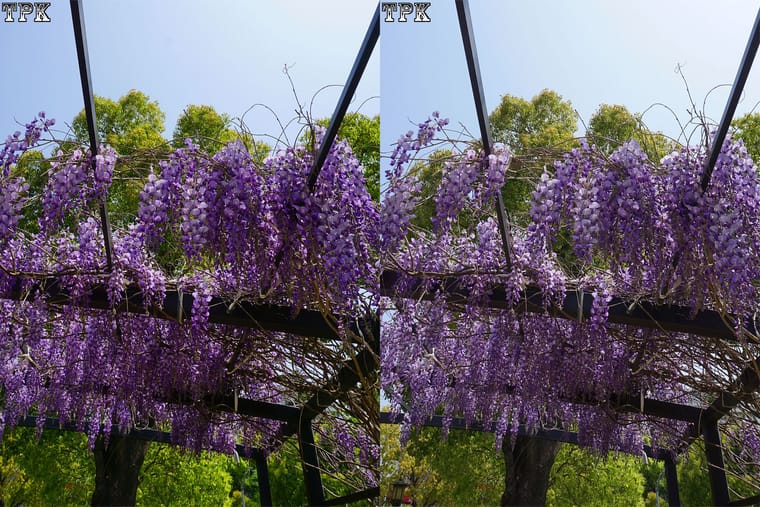 宝山寺（10）230918 - 图片4