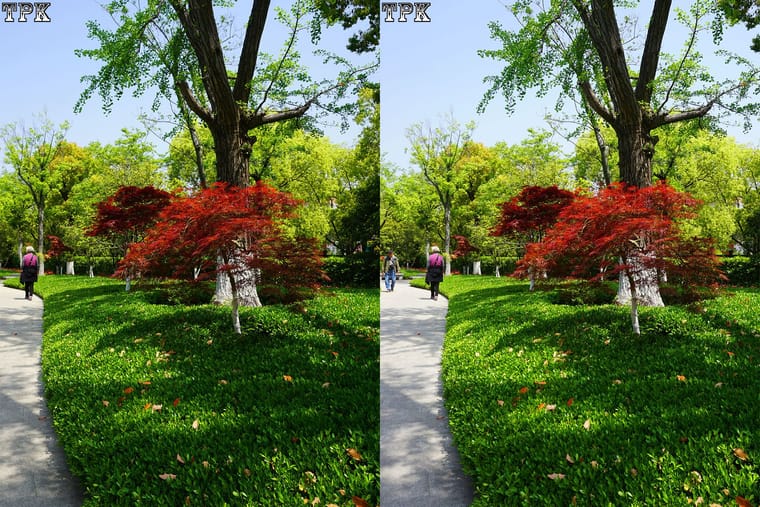 宝山寺（12）230927 - 图片2