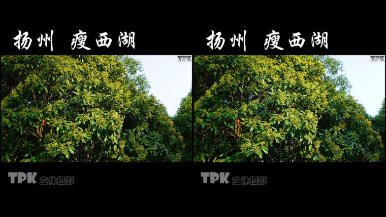 扬州 瘦西湖（1）231102 - 图片6