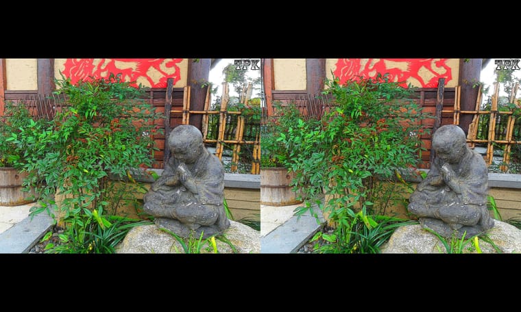拈花湾（5）231123 - 图片5