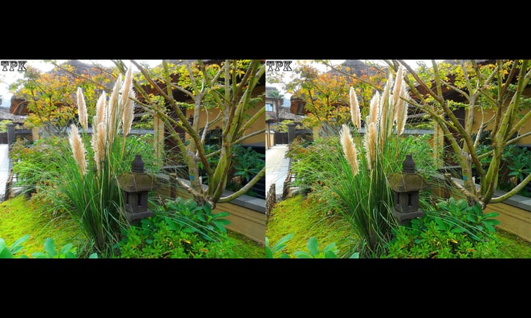 拈花湾（6）231124 - 图片4