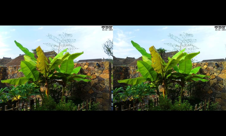 拈花湾（6）231124 - 图片7
