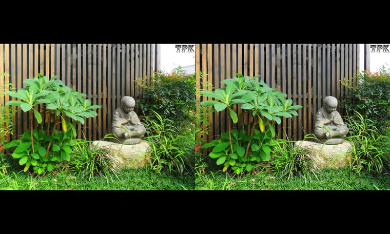 拈花湾（9）231127 - 图片3