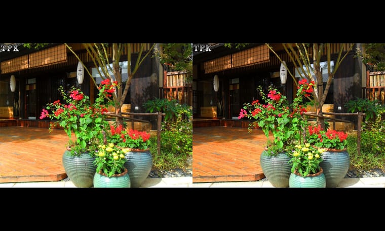 拈花湾（10）231128 - 图片4