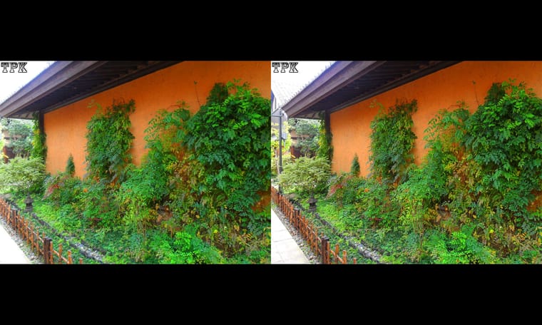 拈花湾（11）231129 - 图片4