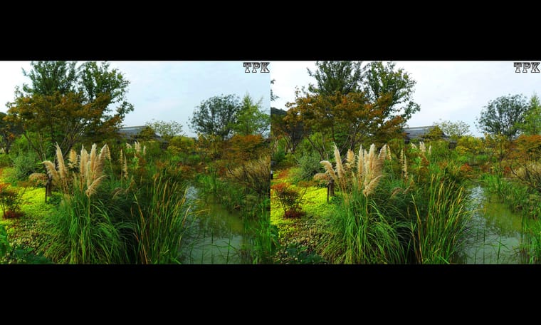 拈花湾（11）231129 - 图片8