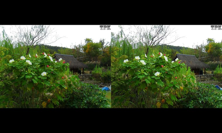 拈花湾（11）231129 - 图片9