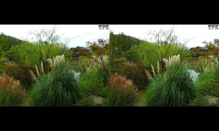 拈花湾（12）231130 - 主图