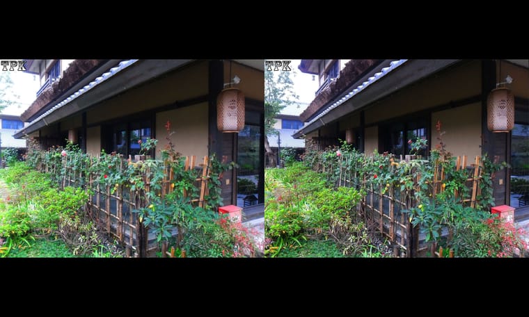 拈花湾（16）231207 - 图片3