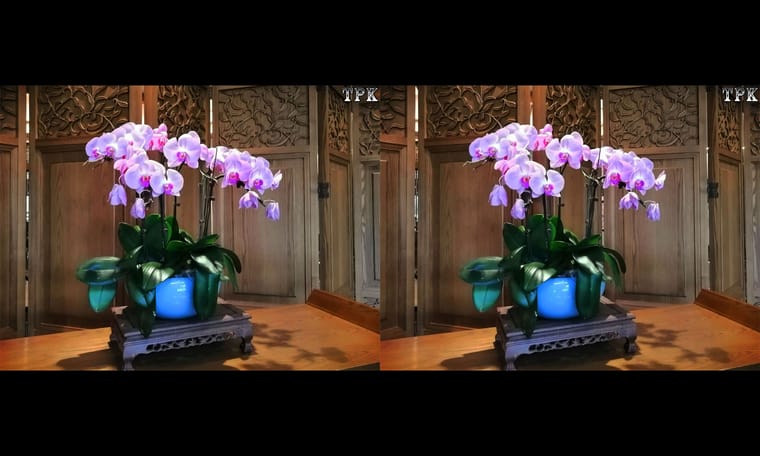 TPK 画廊 231209 - 图片3