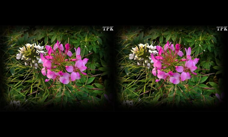 TPK 画廊 231209 - 图片7