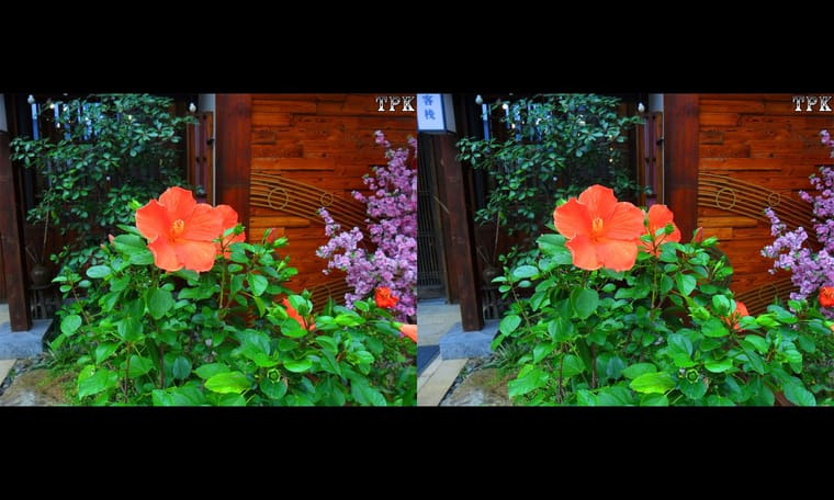 TPK 画廊 231212 - 图片5