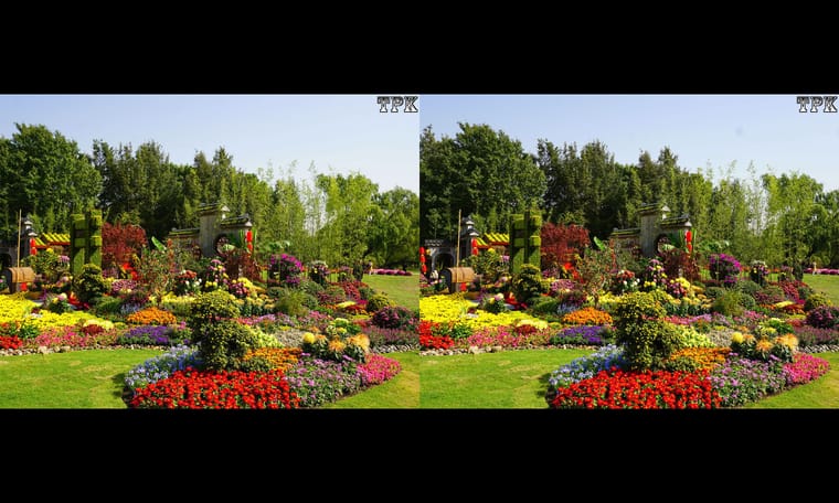 TPK 画廊 231212 - 图片6