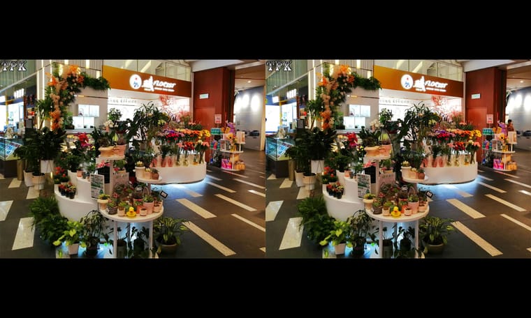 TPK 画廊 231224 - 图片4