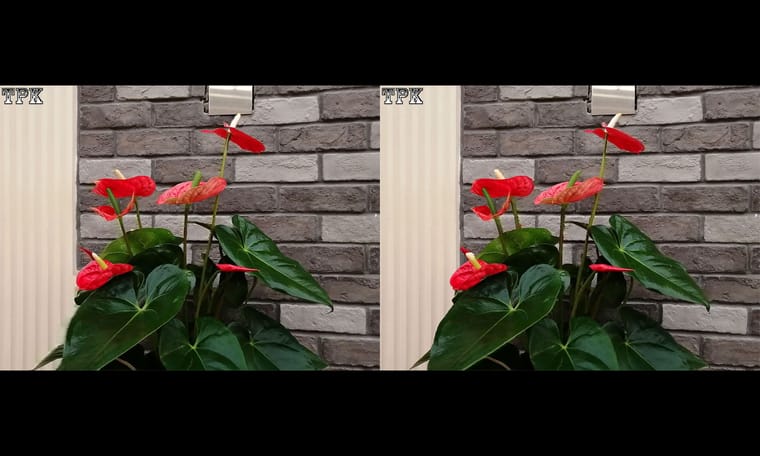 TPK 画廊 240103 - 图片8