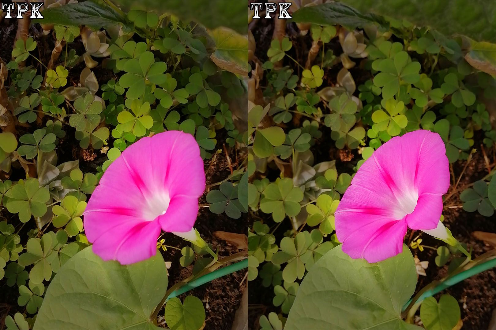 TPK 画廊 240103 - 图片9