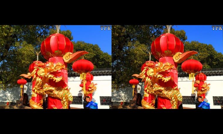 立体摄影习作  240114 - 图片5