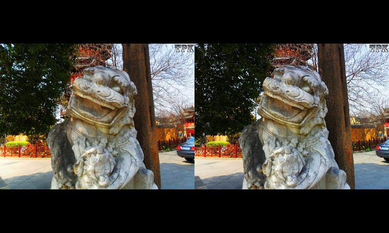 上海龙华寺  240115 - 主图