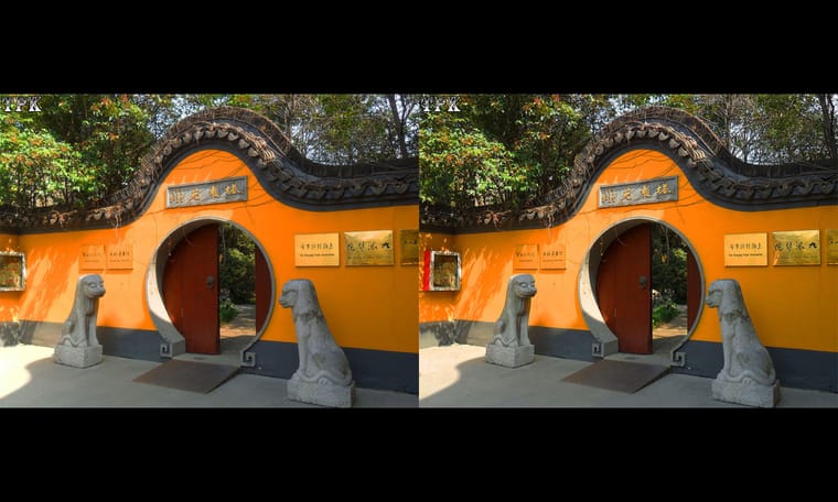 上海龙华寺  240115 - 图片5