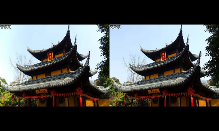 上海龙华寺  240115 - 图片7