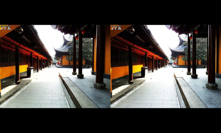上海龙华寺  240115 - 图片9