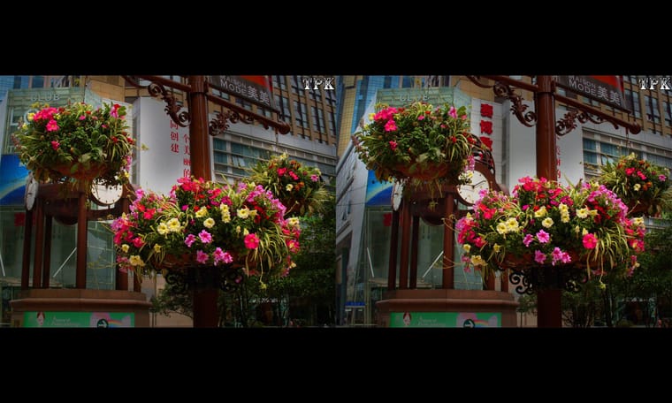 上海淮海路 2009 240117 - 图片7