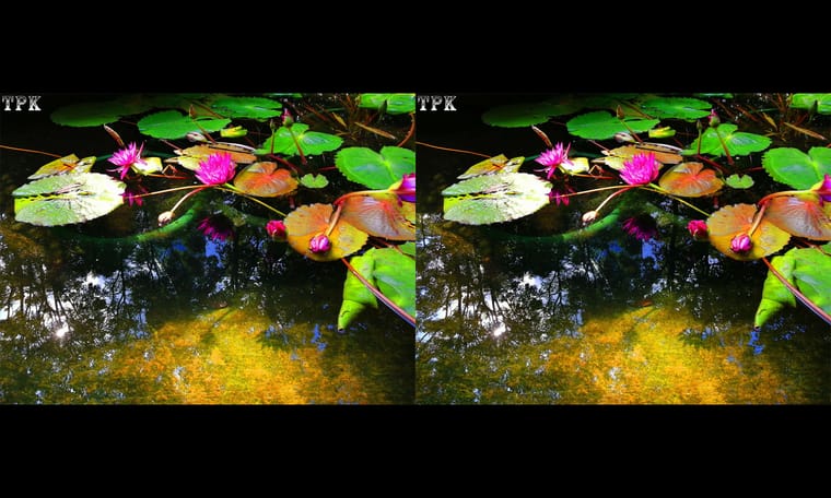 立体小图  240127 - 图片7