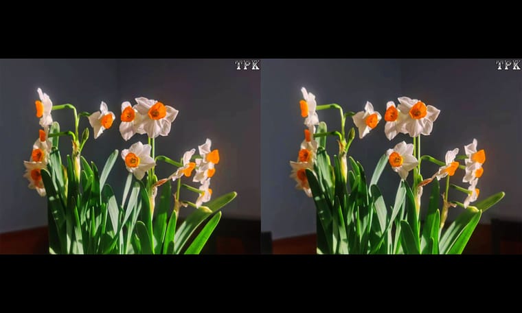 立体小图  240127 - 图片9
