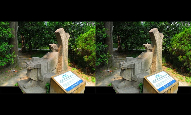 画廊藏品  240205 - 图片4