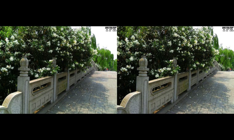 画廊藏品  240205 - 图片7