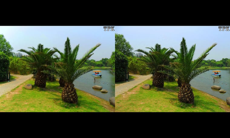 画廊藏品  240205 - 图片8