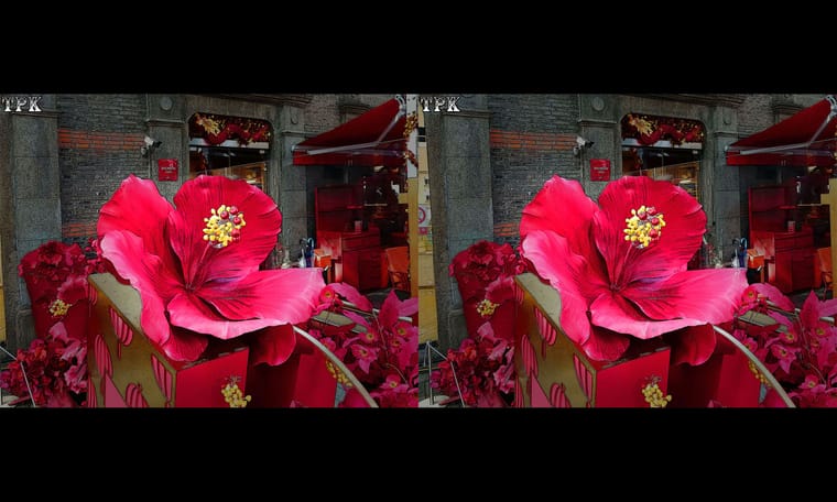 街边 240306 - 图片6