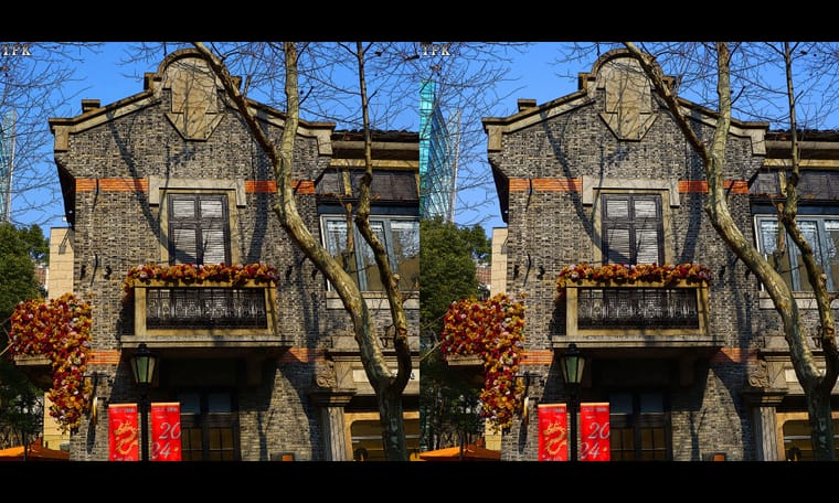 节日逛街随摄（2）240308 - 图片3