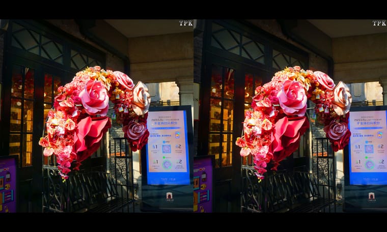 节日逛街随摄（2）240308 - 图片5