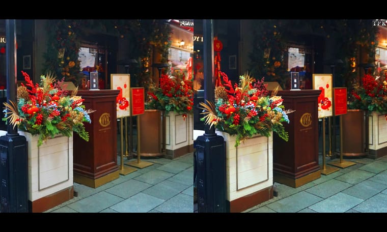 节日逛街随摄（2）240308 - 图片9