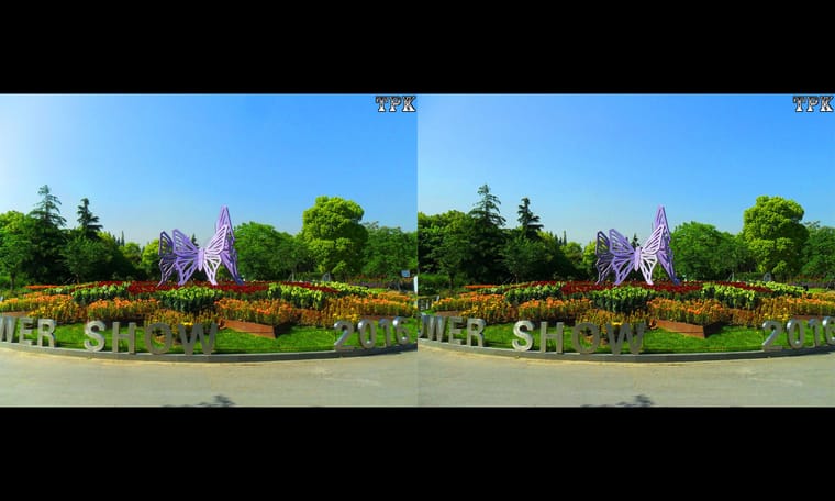 上海植物园 2016（1）230313 - 图片5