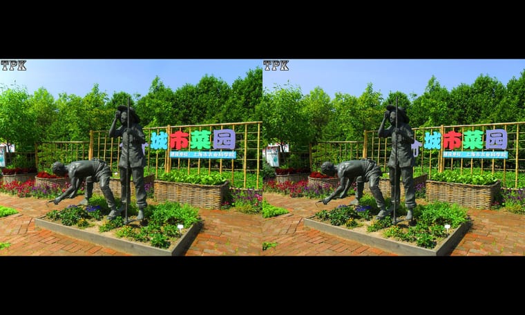 上海植物园 2016（2）240314 - 图片3
