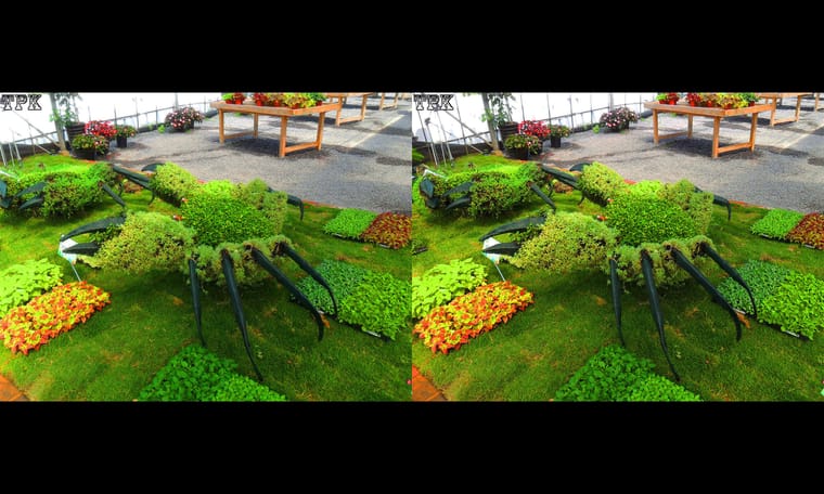 上海植物园（3）240315 - 图片3