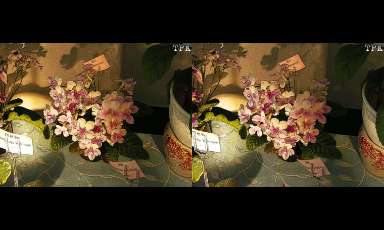 小花  240323 - 图片7