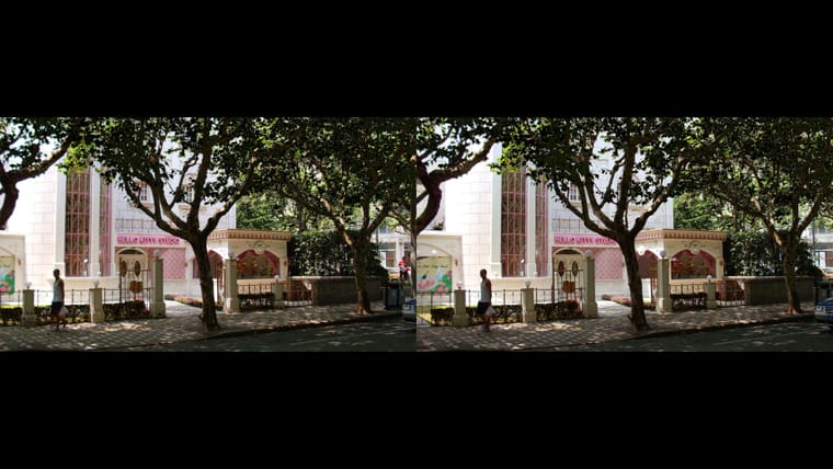 新华路上  240325 - 图片7