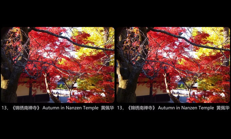 全国立体摄影佳作展示2024年第一期（1） - 图片7