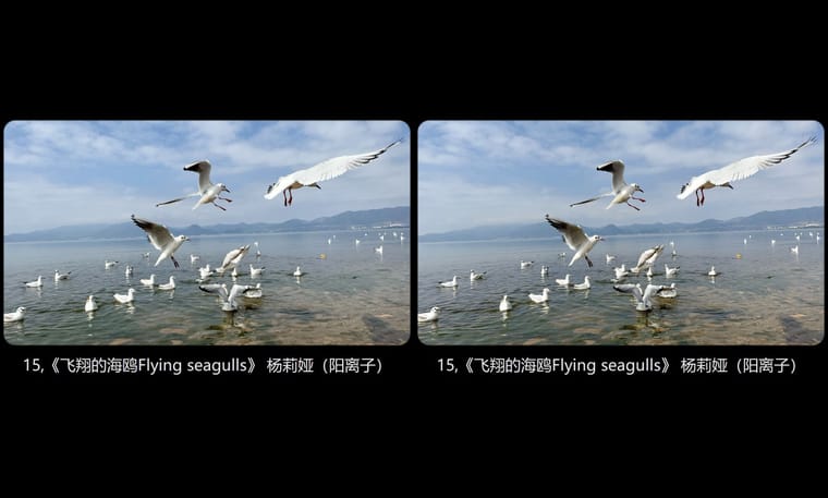全国立体摄影佳作展示2024年第一期（1） - 图片8