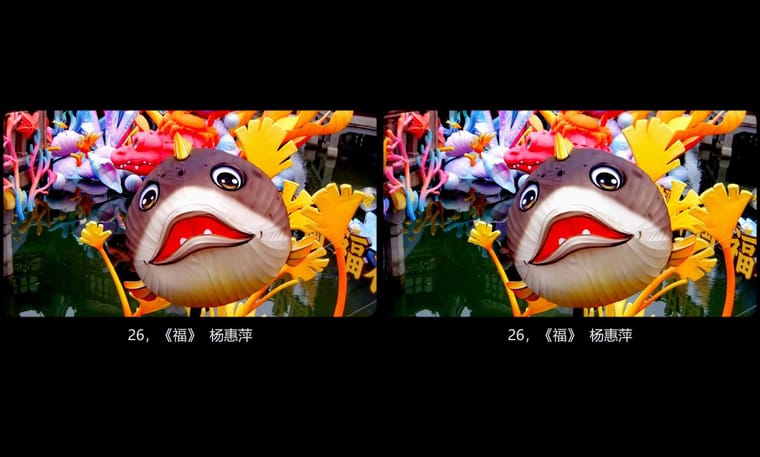 全国立体摄影佳作展示2024年第一期（2） - 图片4