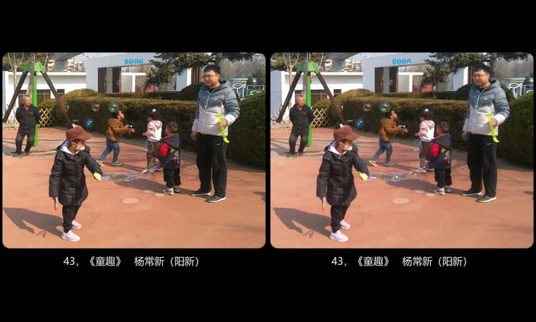 全国立体摄影佳作展示2024年第一期（3） - 图片4