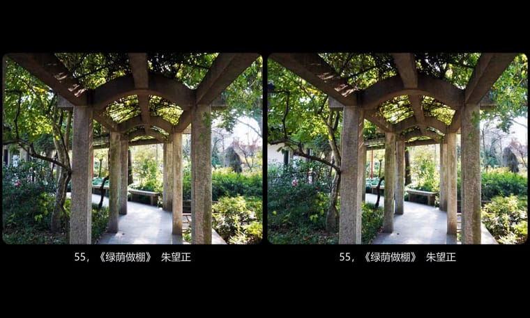 全国立体摄影佳作展示2024年第一期（4） - 主图