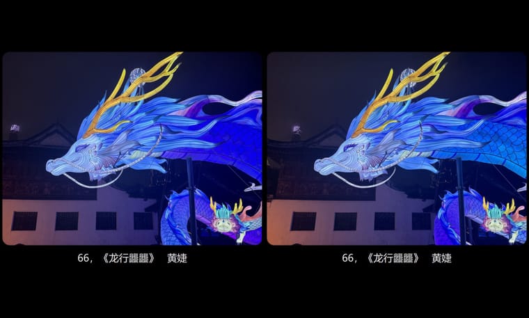 全国立体摄影佳作展示2024年第一期（4） - 图片6
