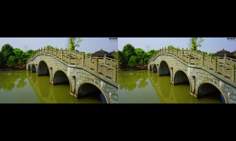 秀美典雅水博园（2）240330 - 图片4