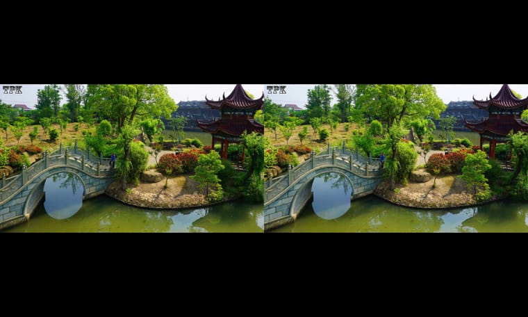 秀美典雅水博园（2）240330 - 图片5