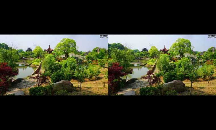 秀美典雅水博园（2）240330 - 图片9